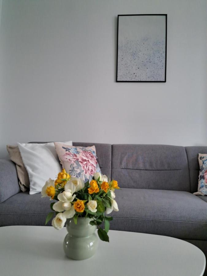 Apartament Onestilor Apartment Oradea Bagian luar foto